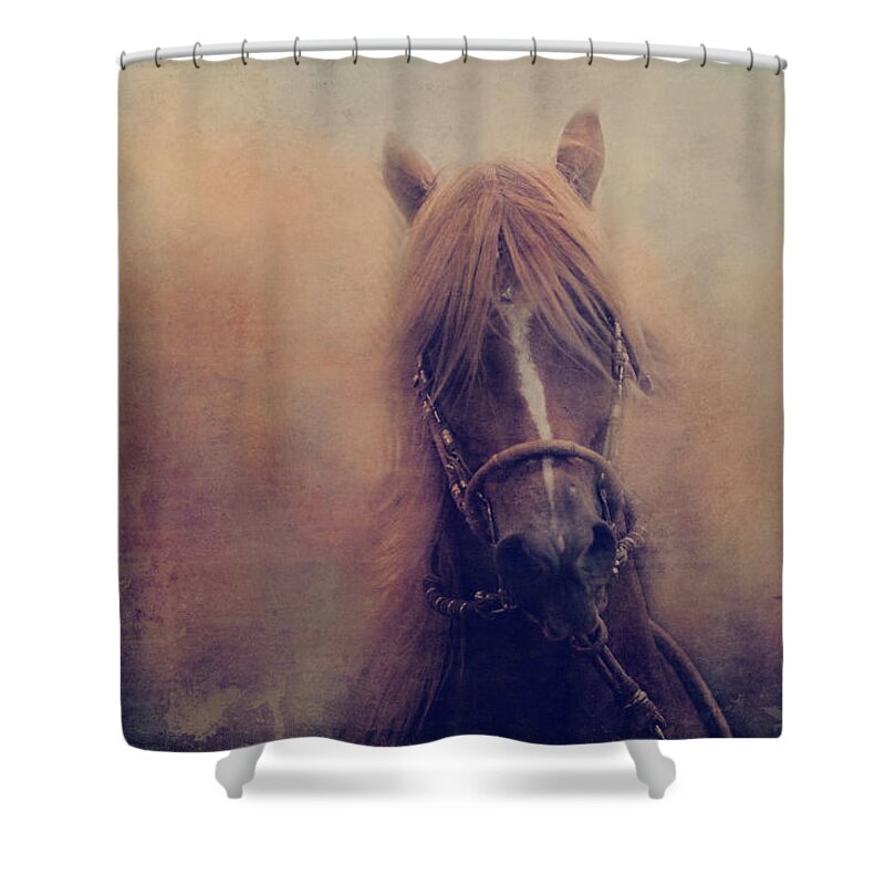 Horse Shower Curtain featuring the photograph Peruvian Horse by Toni Hopper
