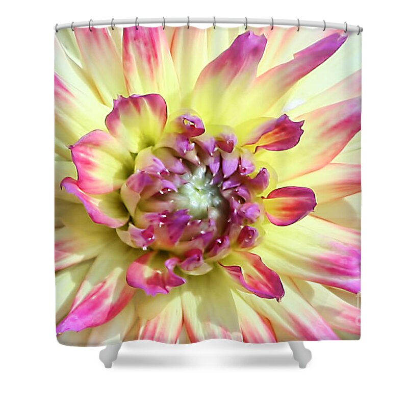 Flower Shower Curtain featuring the photograph Petal Burst by Teresa Zieba