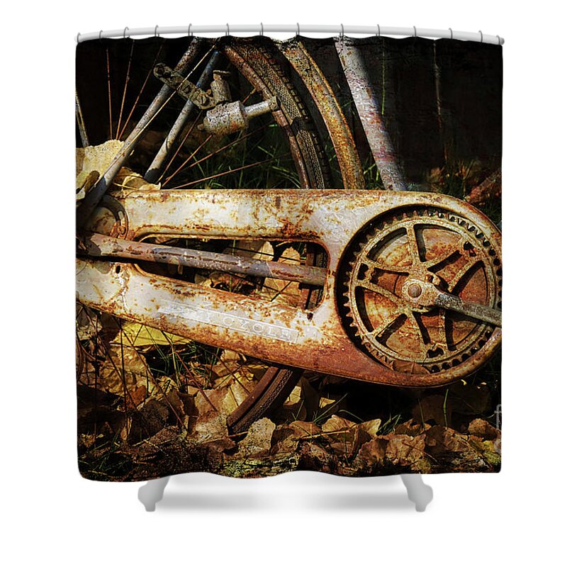 Yesterday Shower Curtain featuring the photograph Petal Me by Norma Warden