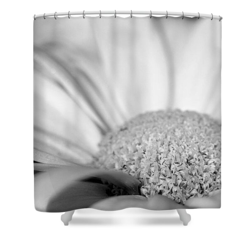 Daisy Shower Curtain featuring the photograph Petals - Black and White by Angela Rath