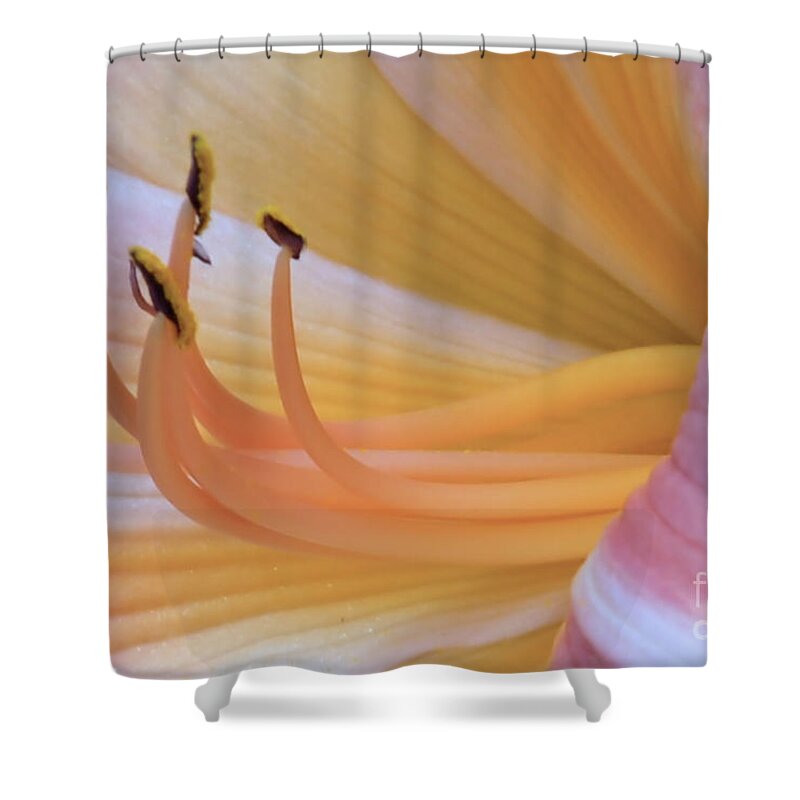 Flowers Shower Curtain featuring the photograph Petals and Stamens by Elaine Manley