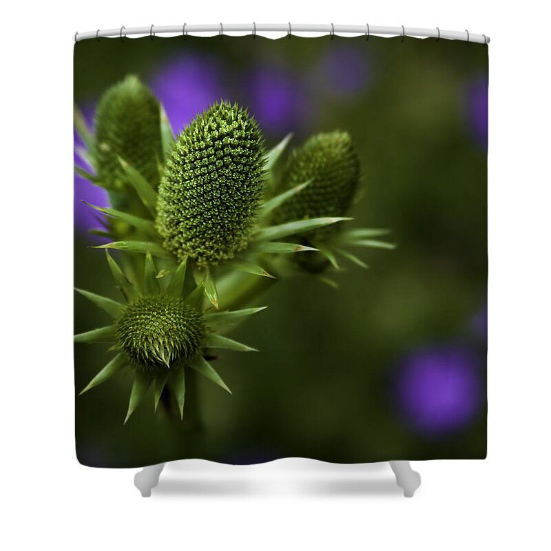 Petals Shower Curtain featuring the photograph Petals Lost by Jason Moynihan