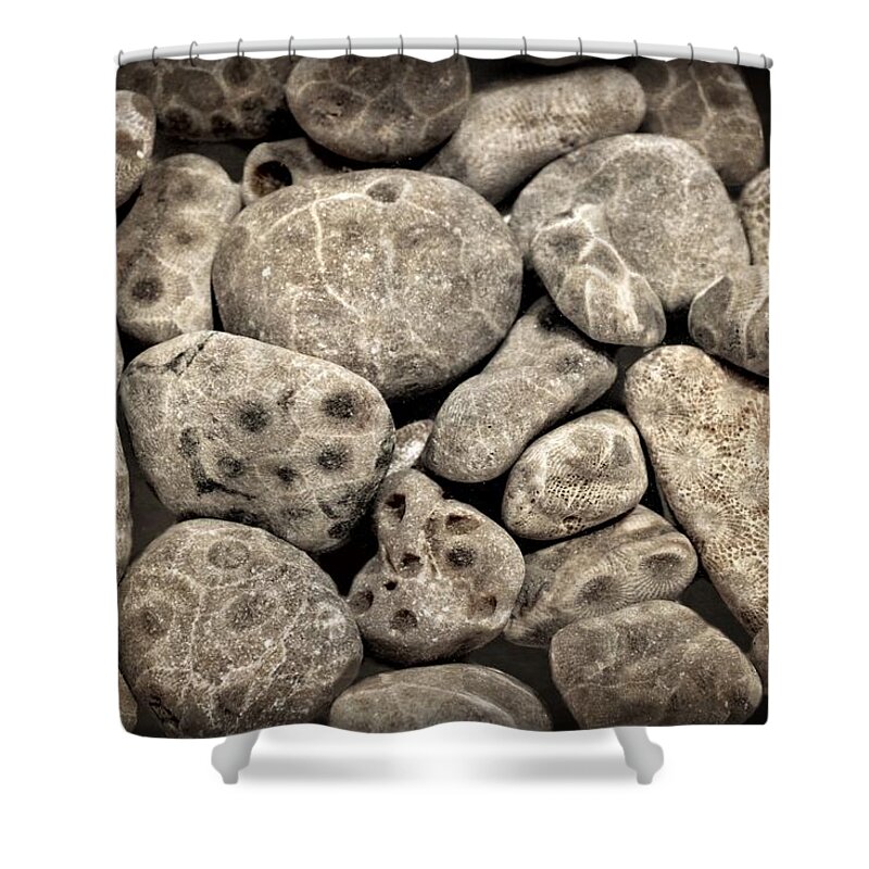 Stone Shower Curtain featuring the photograph Petoskey Stones Vl by Michelle Calkins