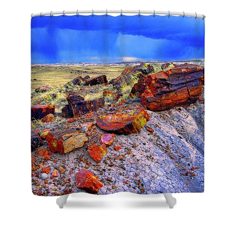 Usa Shower Curtain featuring the photograph Petrified Forest National Park by Gary Corbett