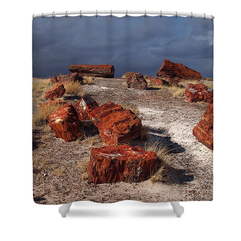 Peterson Nature Photography Shower Curtain featuring the photograph Petrified Forest National Park by James Peterson