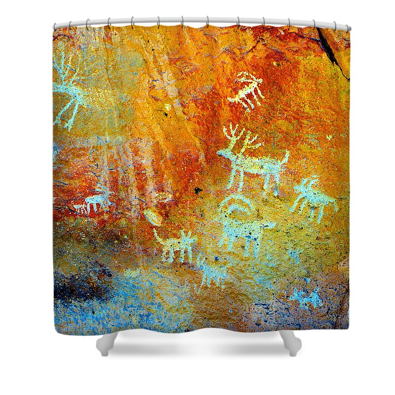 Fremont Indian State Park Utah Shower Curtain featuring the photograph Petroglyph panel work 12 by David Lee Thompson