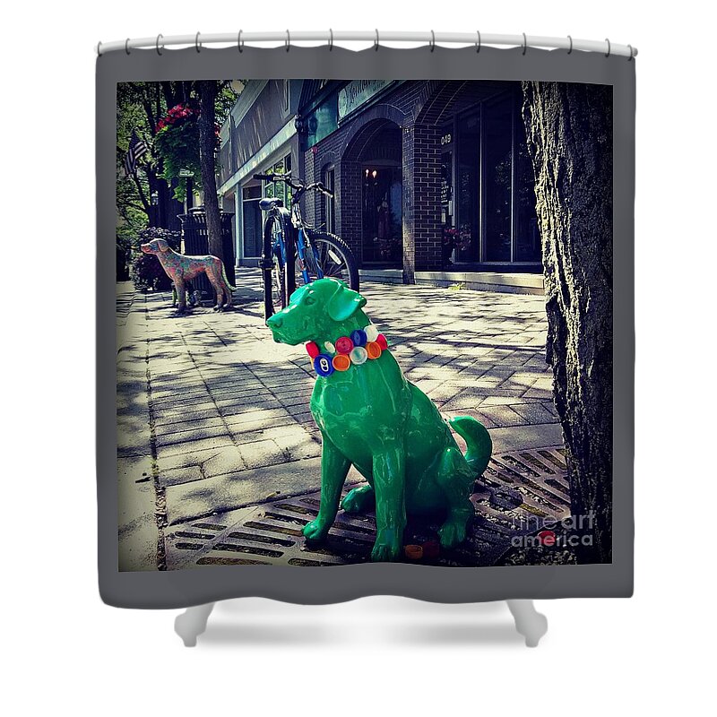 Photography Shower Curtain featuring the photograph Pets on Parade by Frank J Casella