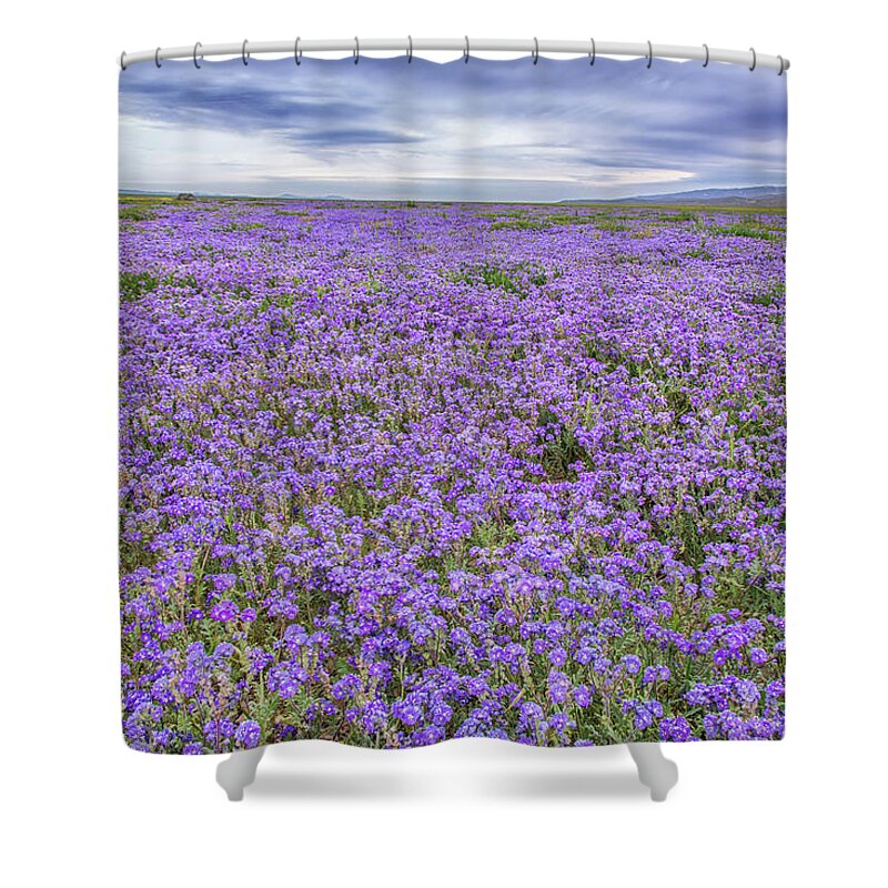 California Shower Curtain featuring the photograph Phacelia Field and Clouds by Marc Crumpler