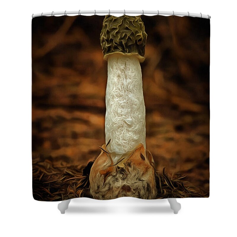 Mushroom Shower Curtain featuring the photograph Phallus Impudicus by Michal Boubin