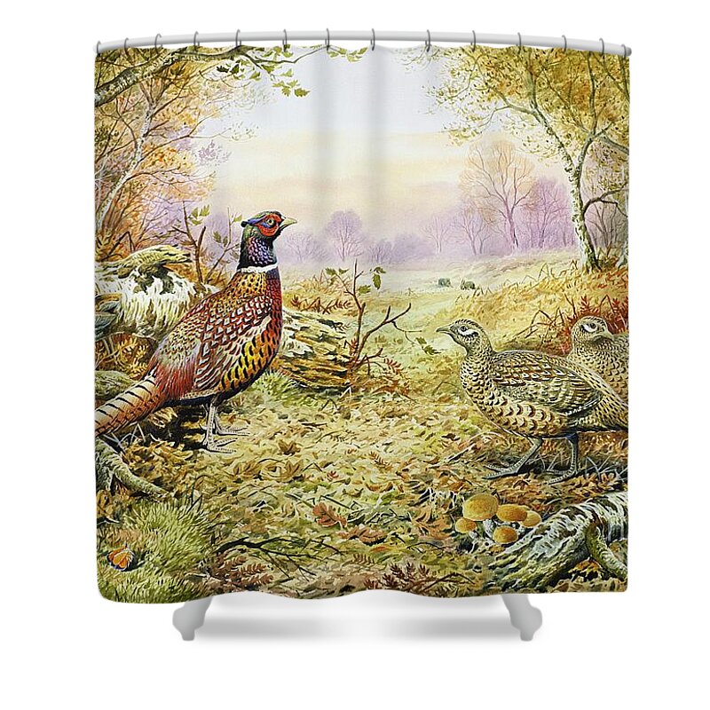 Fungus; Game Bird; Bracken; Rabbits; Pheasant; Pheasants; Tree; Trees; Grass; Leafs; Animals Shower Curtain featuring the painting Pheasants in Woodland by Carl Donner