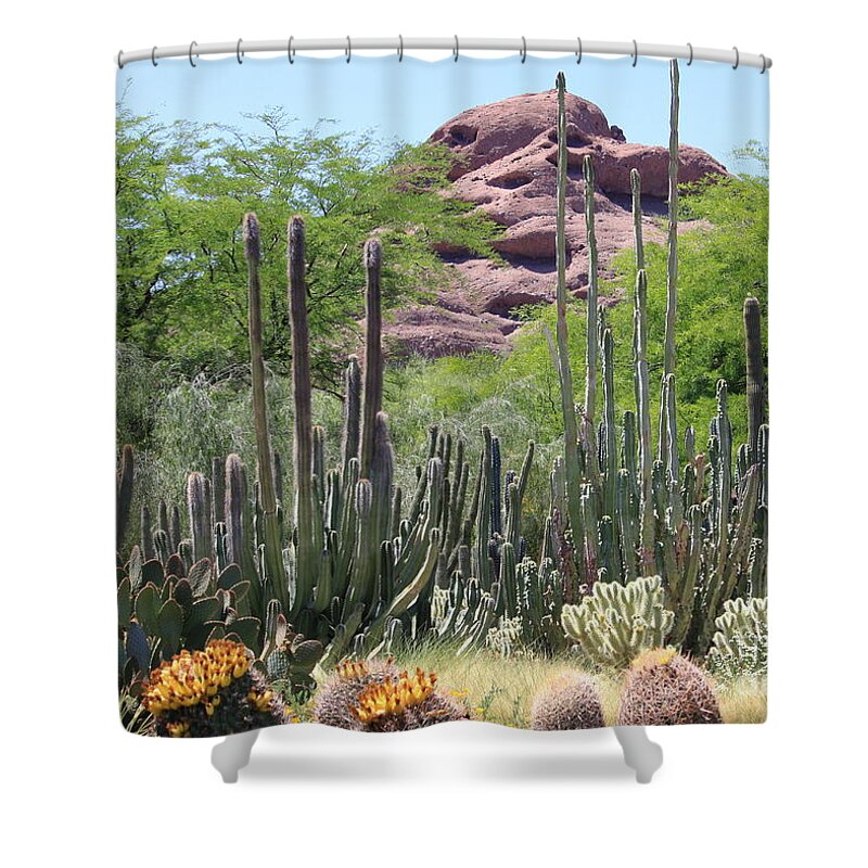 Desert Shower Curtain featuring the photograph Phoenix Botanical Garden by Carol Groenen