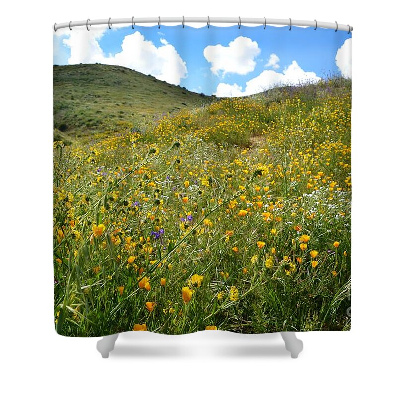 Spring Shower Curtain featuring the photograph Picture Perfect Spring by Kiana Carr