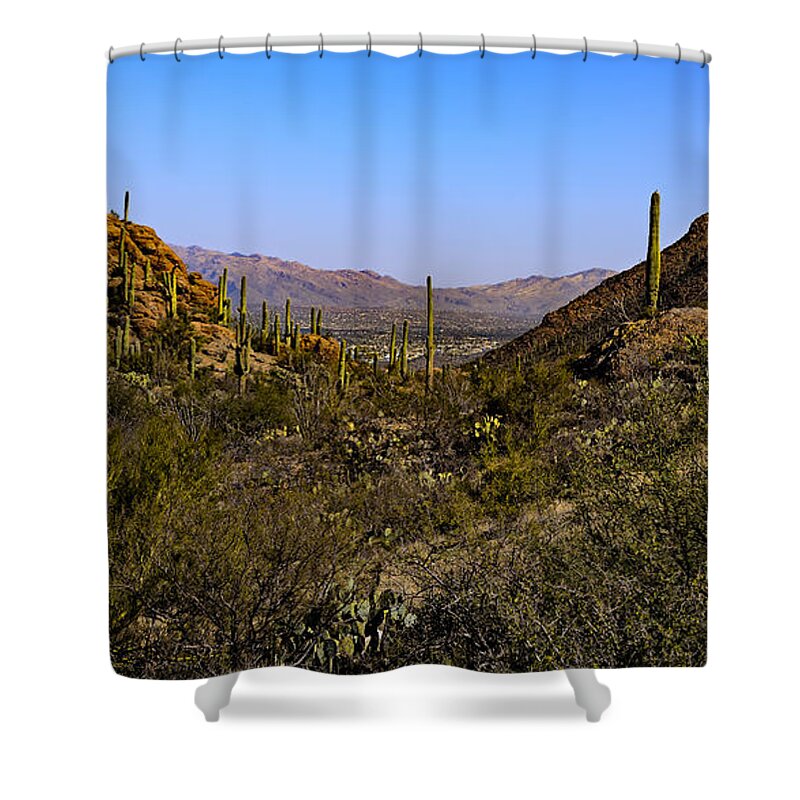 Gate’s Pass Shower Curtain featuring the photograph Picture Rocks 24 by Mark Myhaver