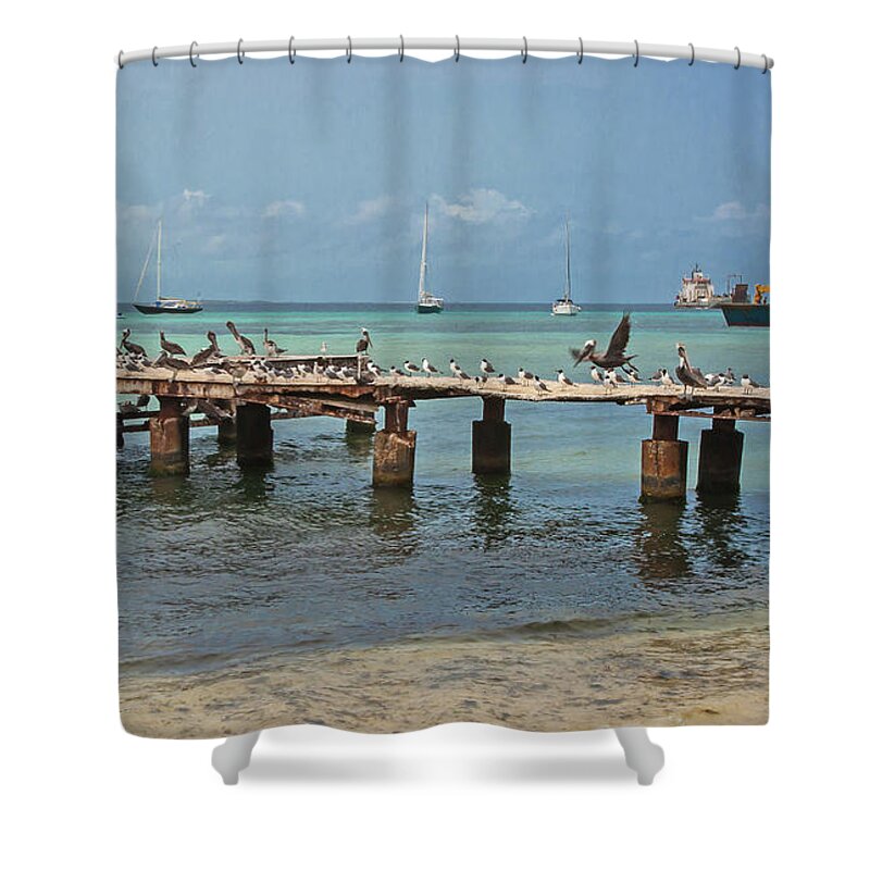 2016 Shower Curtain featuring the photograph Pier for birds by Jean-Luc Baron