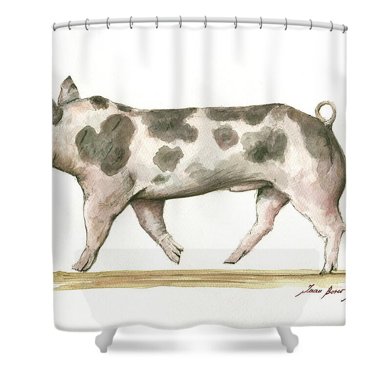 Hampshire Pig Shower Curtain featuring the painting Pietrain pig by Juan Bosco