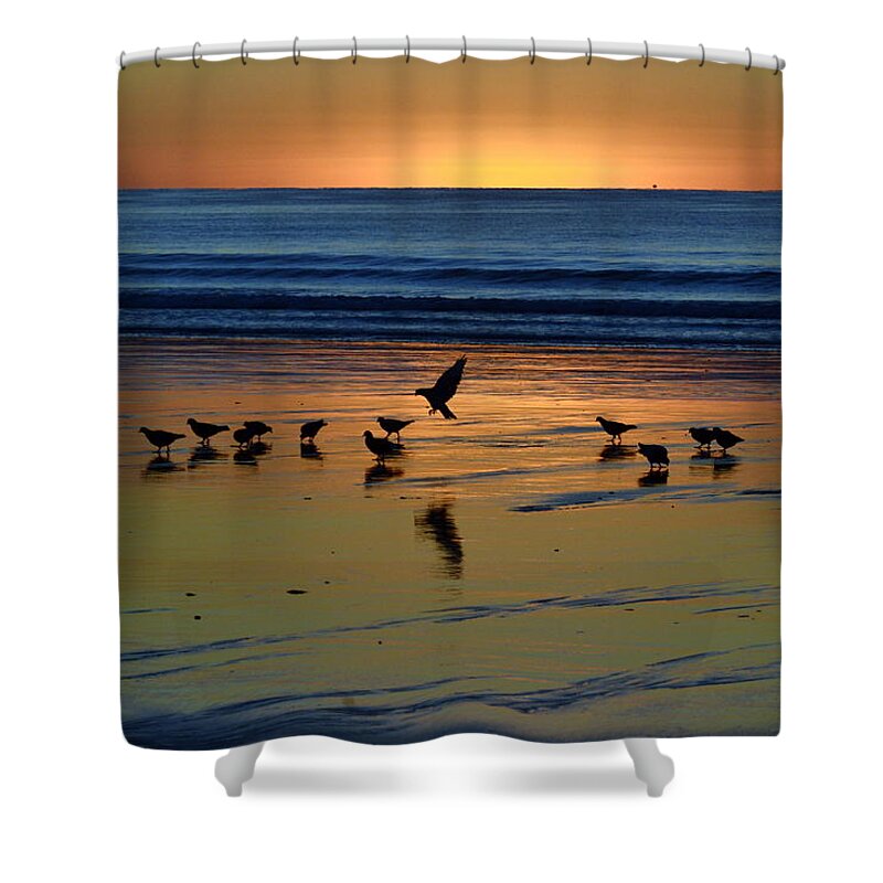 Old Orchard Beach Shower Curtain featuring the photograph Family Gathering by Colleen Phaedra