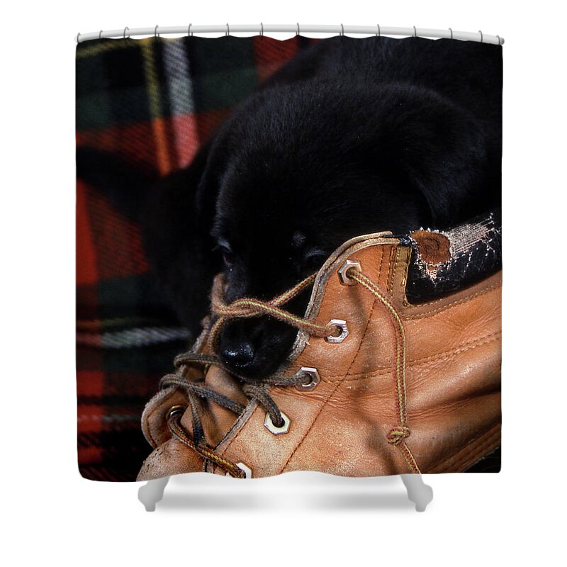 Plaid Shower Curtain featuring the photograph Pillow by Skip Willits