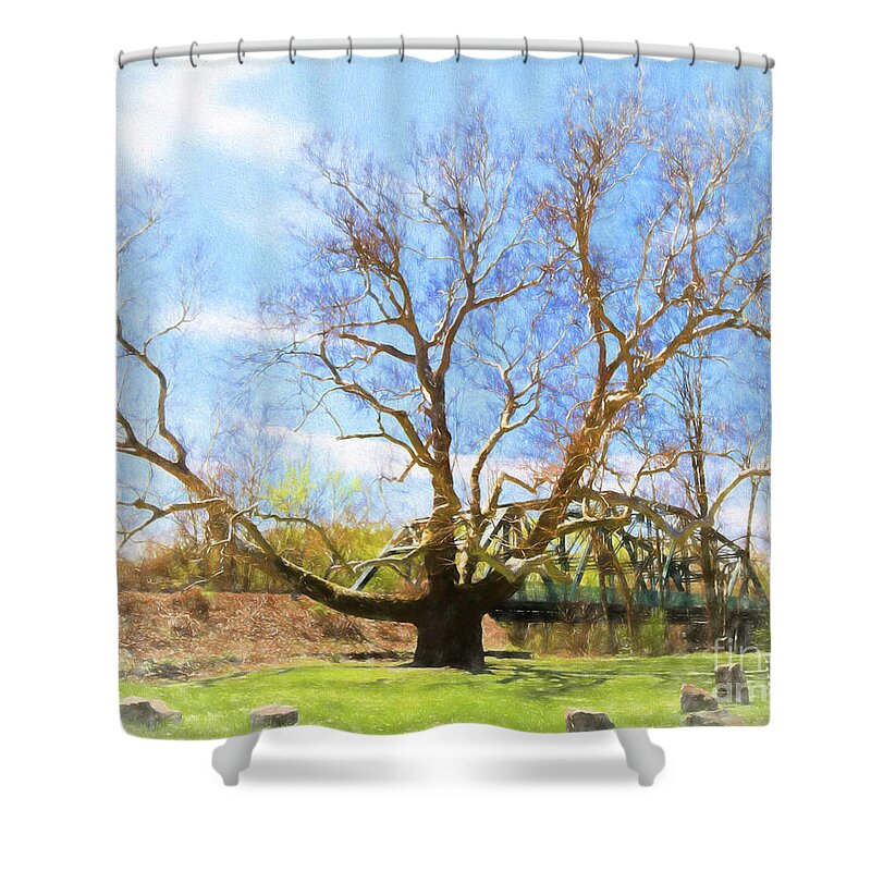 Simsbury Pinchot Painting Landscape Ct Connecticut Sycamore Tree Shower Curtain featuring the photograph Pinchot Painting by Lorraine Cosgrove