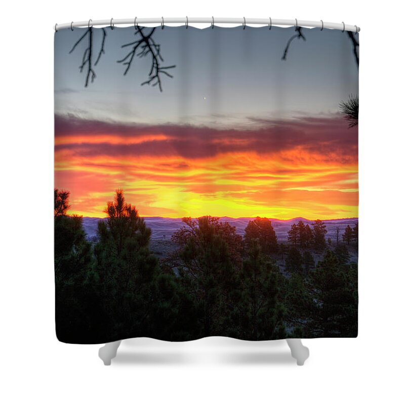 Pine Shower Curtain featuring the photograph Pine Sunrise by Fiskr Larsen