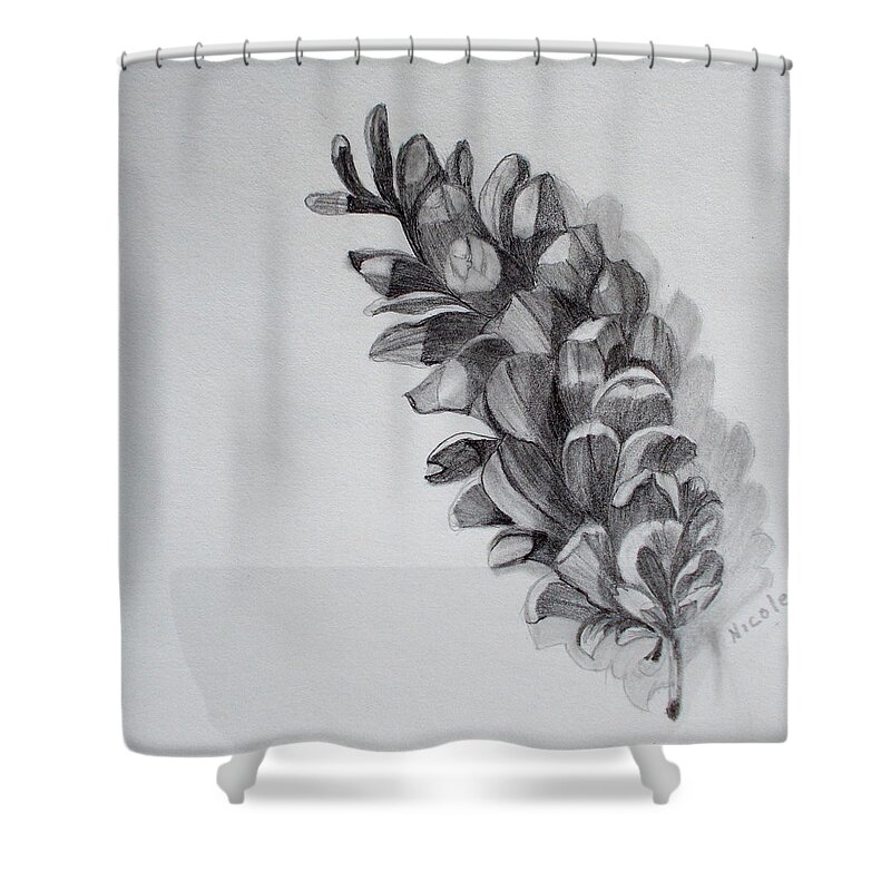 Pinecone Shower Curtain featuring the drawing Pinecone by Nicole Curreri