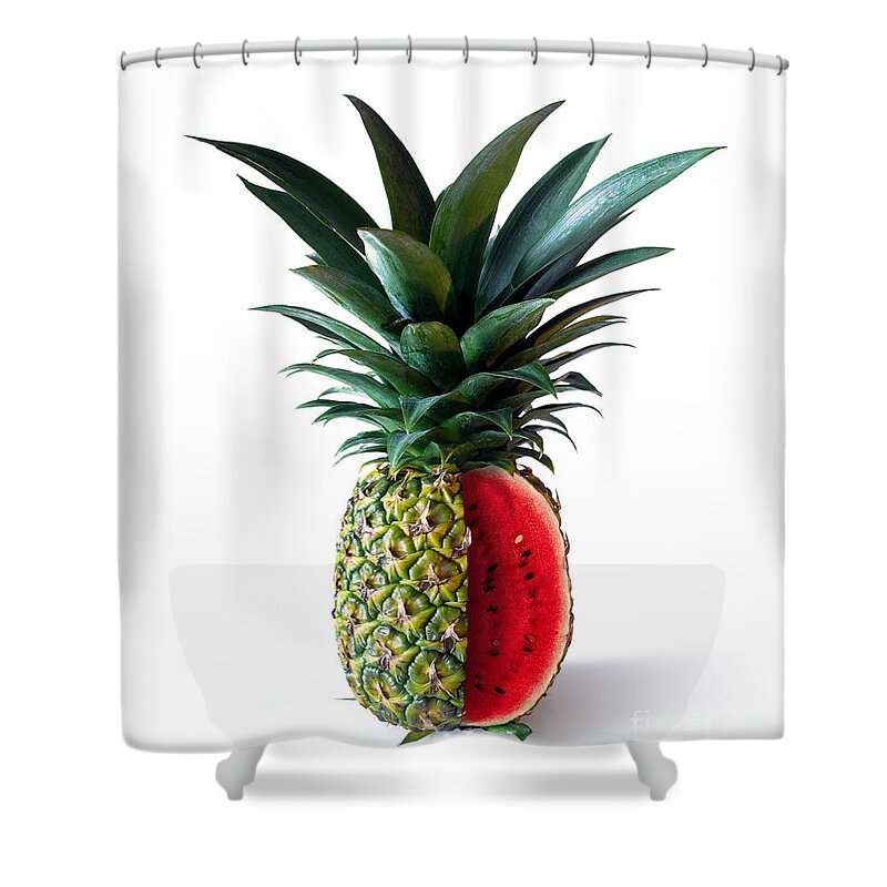 Abstract Shower Curtain featuring the photograph Pinemelon 2 by Carlos Caetano