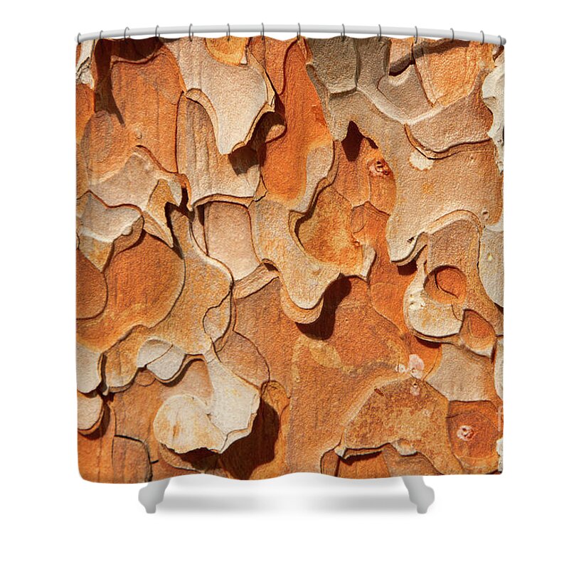 Abstract Shower Curtain featuring the photograph Pining for a Jig-Saw Puzzle by Marilyn Cornwell