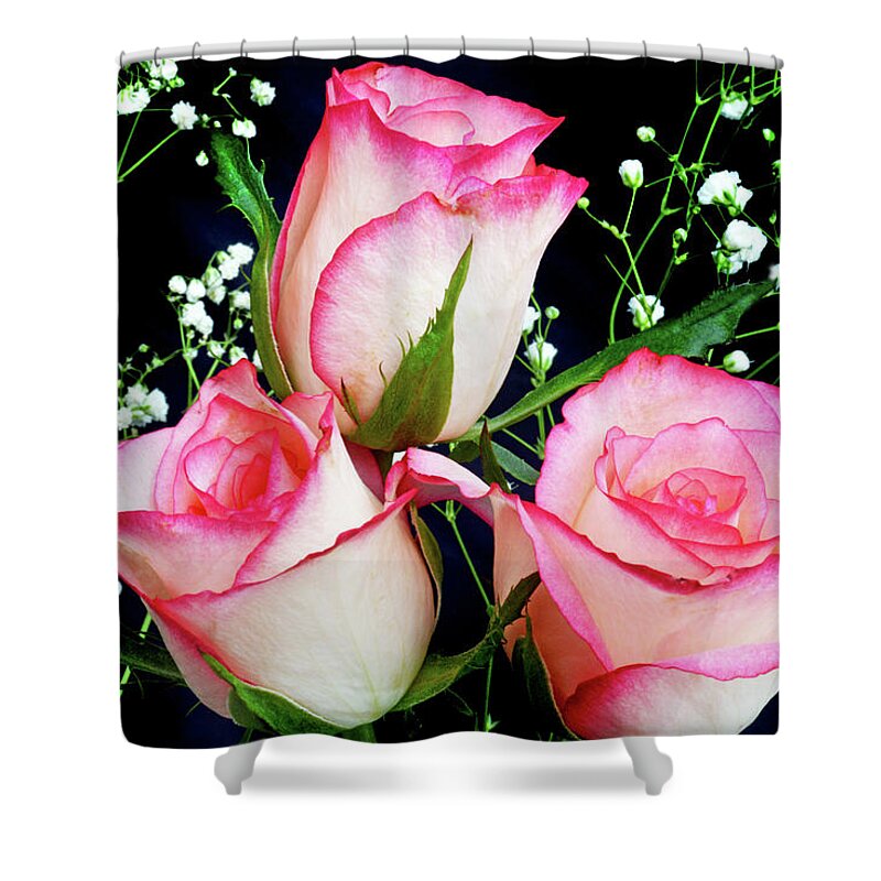 Roses Shower Curtain featuring the photograph Pink And White Roses by Terence Davis