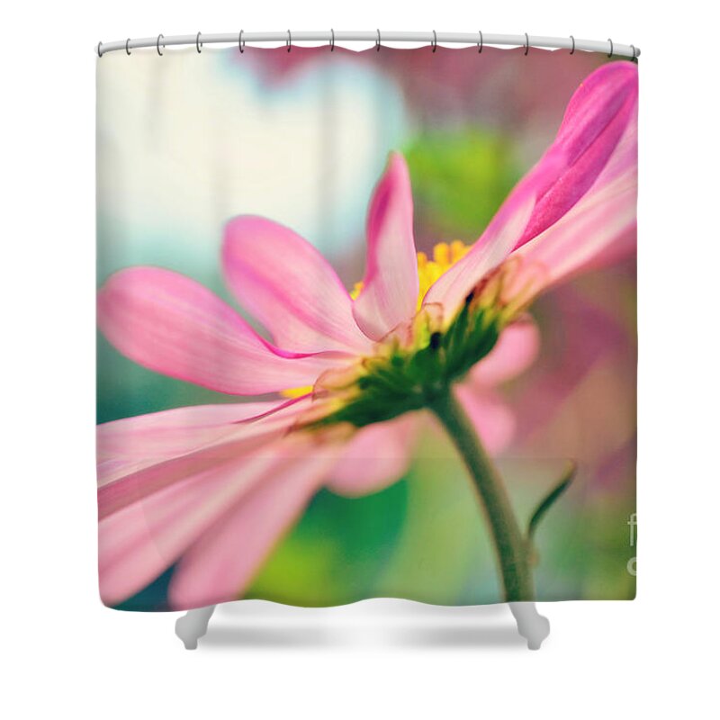 Flower Shower Curtain featuring the photograph Pink Bliss by Kelly Nowak