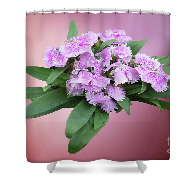 Flowers Shower Curtain featuring the photograph Pink Blooming Plant by Linda Phelps