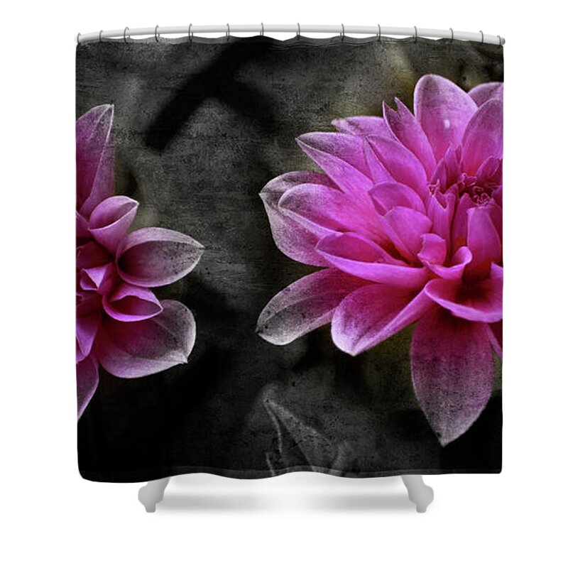 Flowers Shower Curtain featuring the photograph Pink Dahlia by Lily Malor
