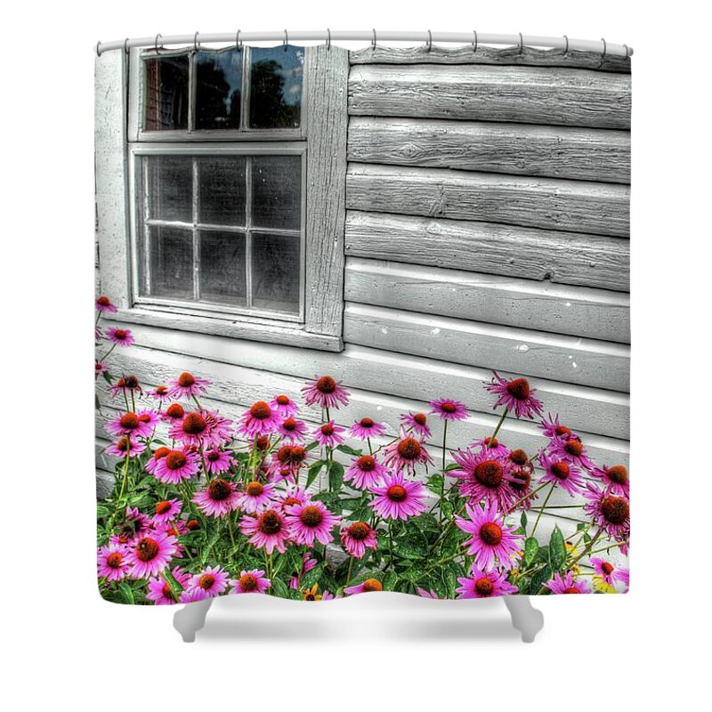 Daisies Shower Curtain featuring the photograph Pink Daisies by Randy Pollard