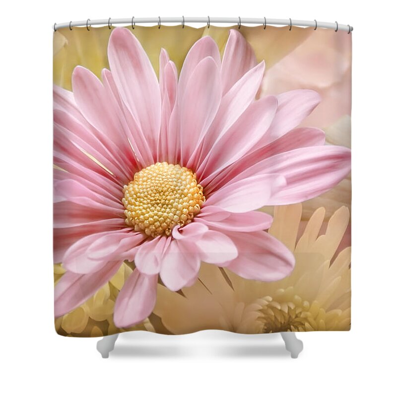 Pink Shower Curtain featuring the photograph Beauty by Louise Hill