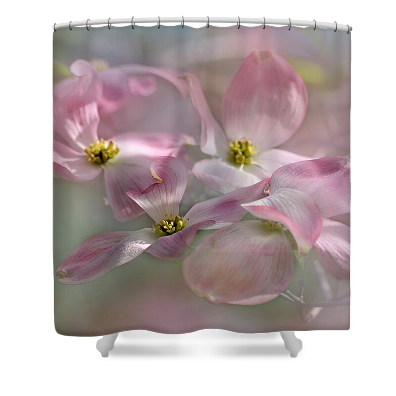 Beauty Shower Curtain featuring the photograph Pink Dogwood by Ann Bridges