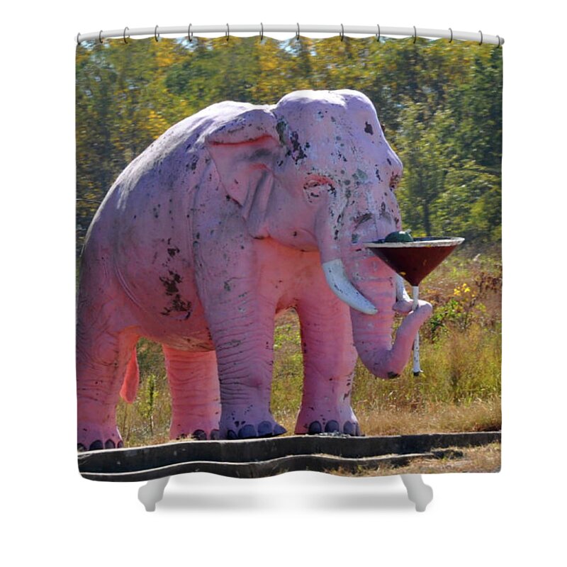 Pink Elephant Shower Curtain featuring the photograph Pink Elephant by Wanda-Lynn Searles