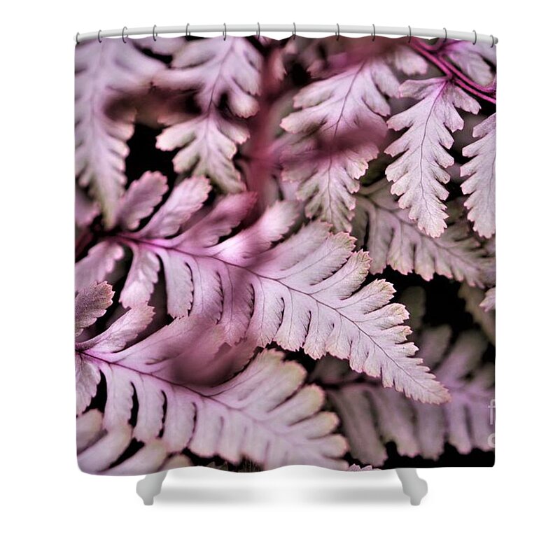 Pink Shower Curtain featuring the photograph Pink Fern by Tracey Lee Cassin