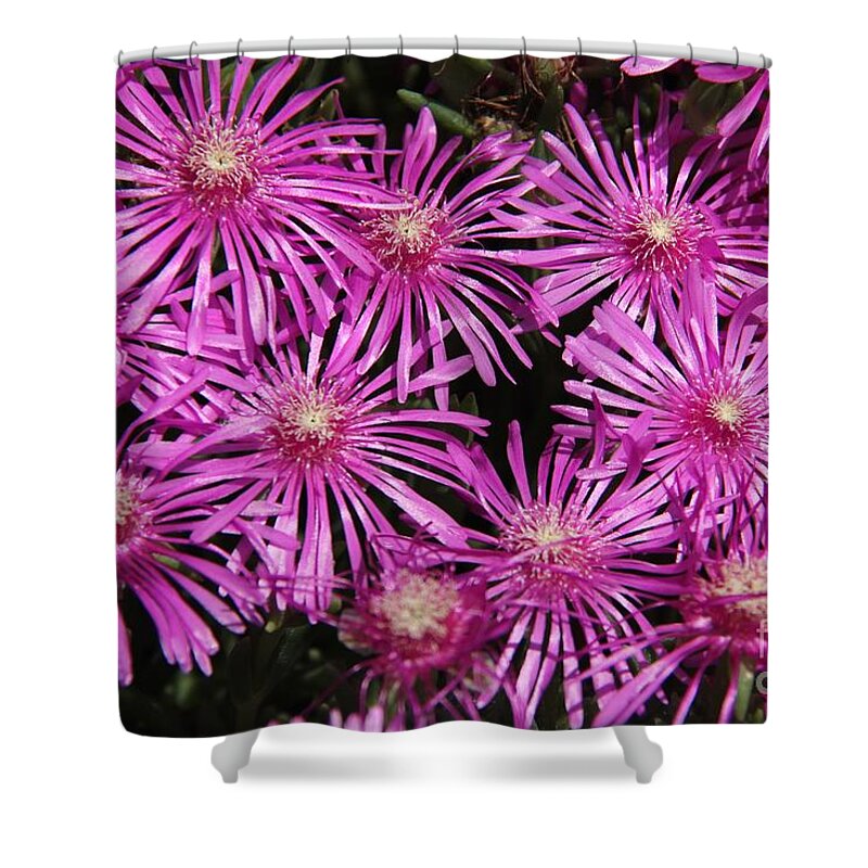 Firework Shower Curtain featuring the photograph Pink firework by Yumi Johnson