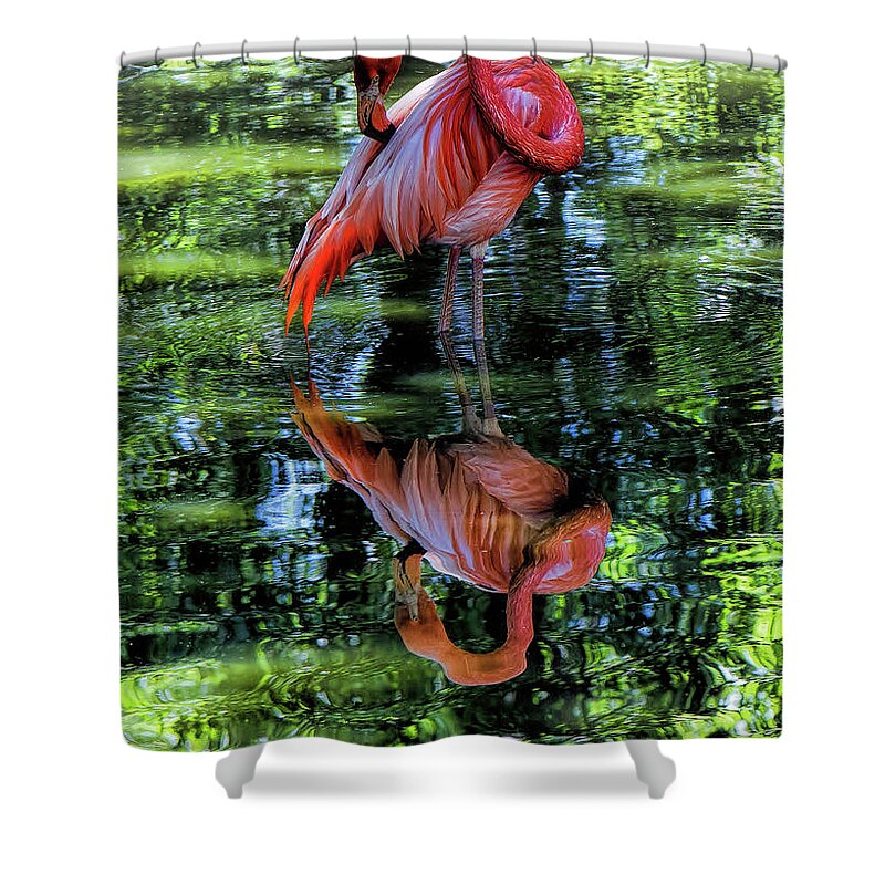 Bird Shower Curtain featuring the digital art Pink Flamingo by Lena Owens - OLena Art Vibrant Palette Knife and Graphic Design