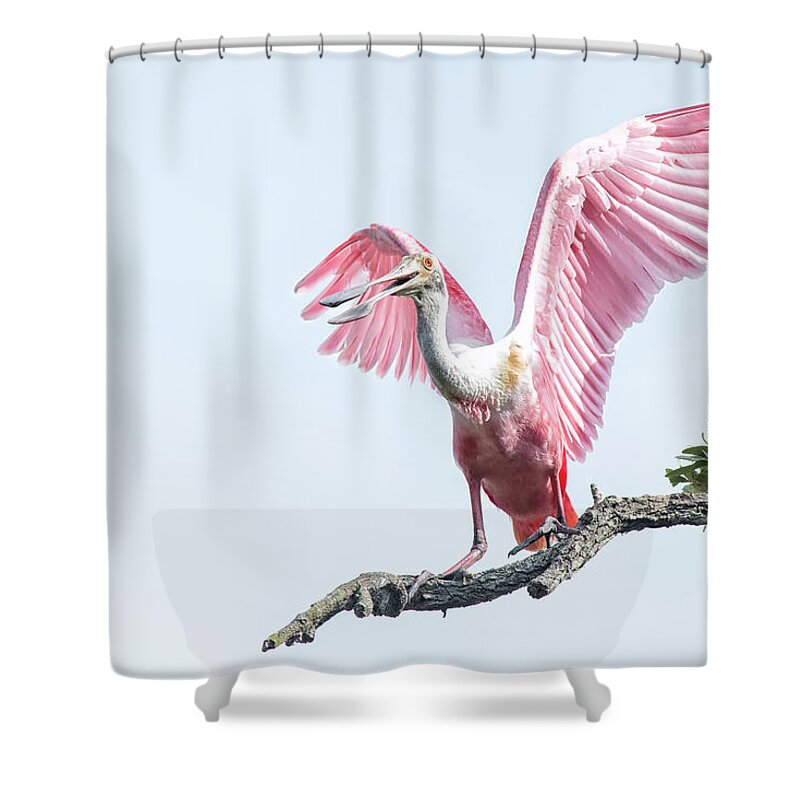 Rystal Yingling Shower Curtain featuring the photograph Pink by Ghostwinds Photography