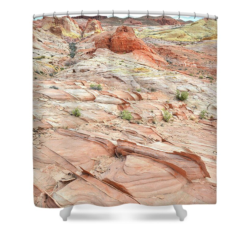 Valley Of Fire State Park Shower Curtain featuring the photograph Pink Hills in Valley of Fire by Ray Mathis