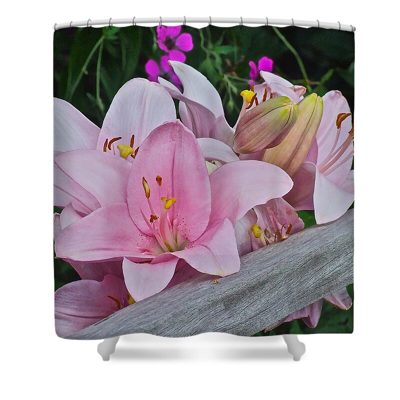 Lilies Shower Curtain featuring the photograph Pink Lilies Corralled by Janis Senungetuk