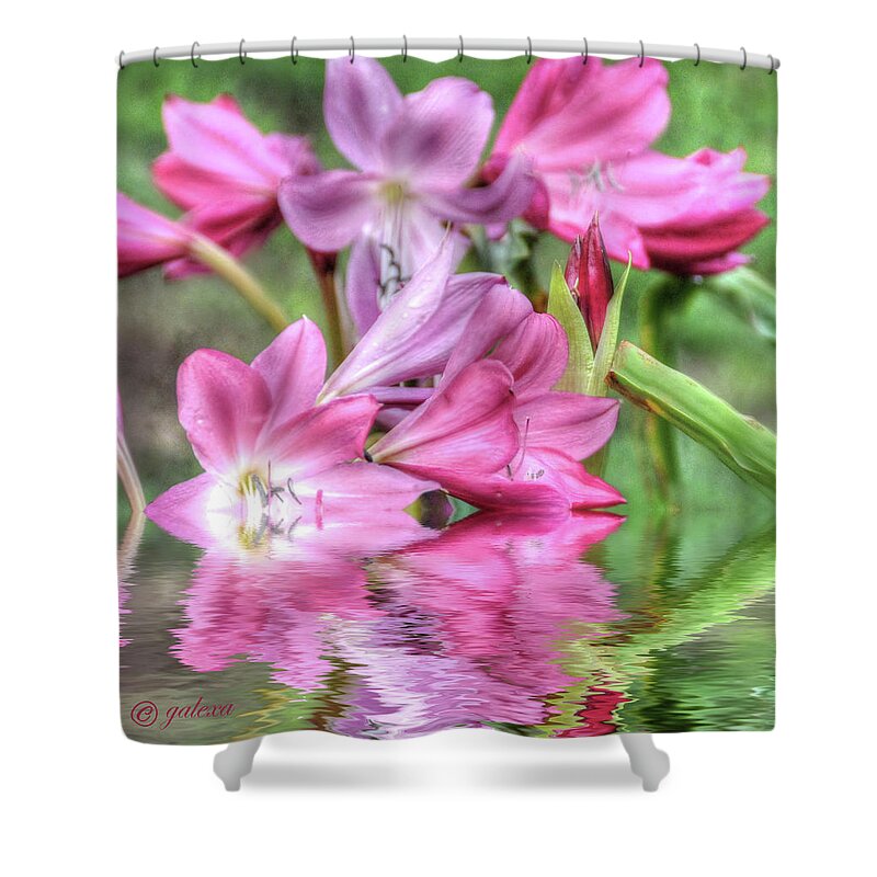 Flowers Shower Curtain featuring the photograph Pink Lily Flood by Geraldine Alexander