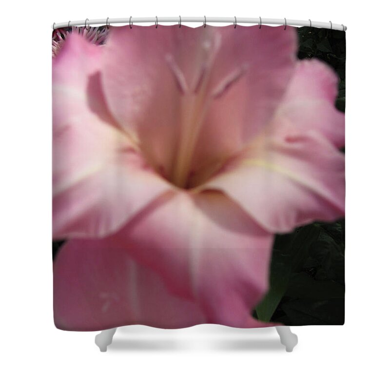Flower Shower Curtain featuring the photograph Pink Lily by Julia Stubbe