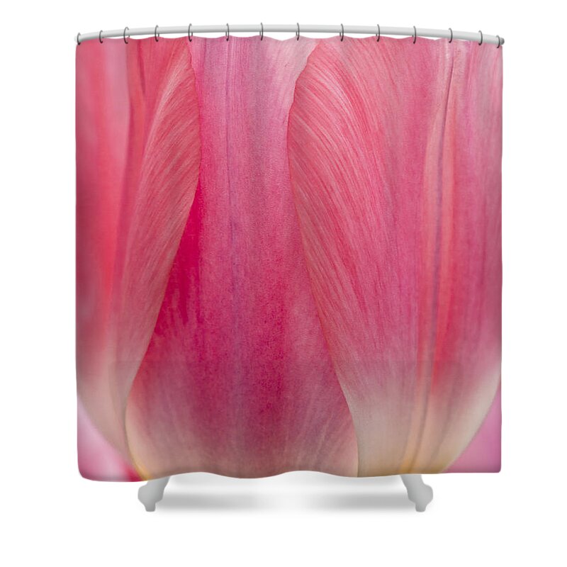Beauty Shower Curtain featuring the photograph Pink Passion by Eggers Photography