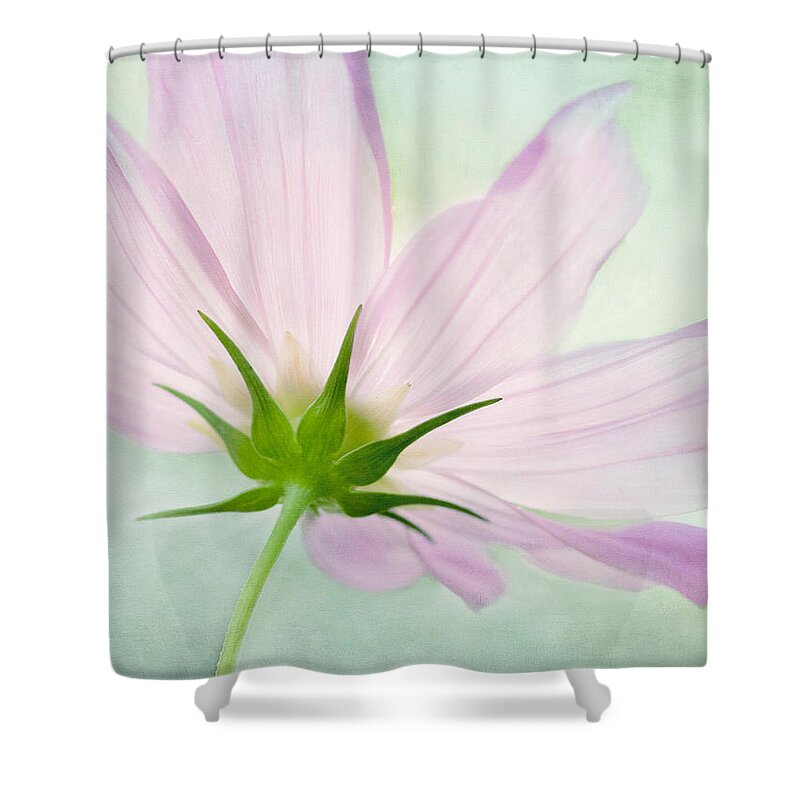 Pink Cosmos Flower Shower Curtain featuring the mixed media Pink Petals by Marina Kojukhova