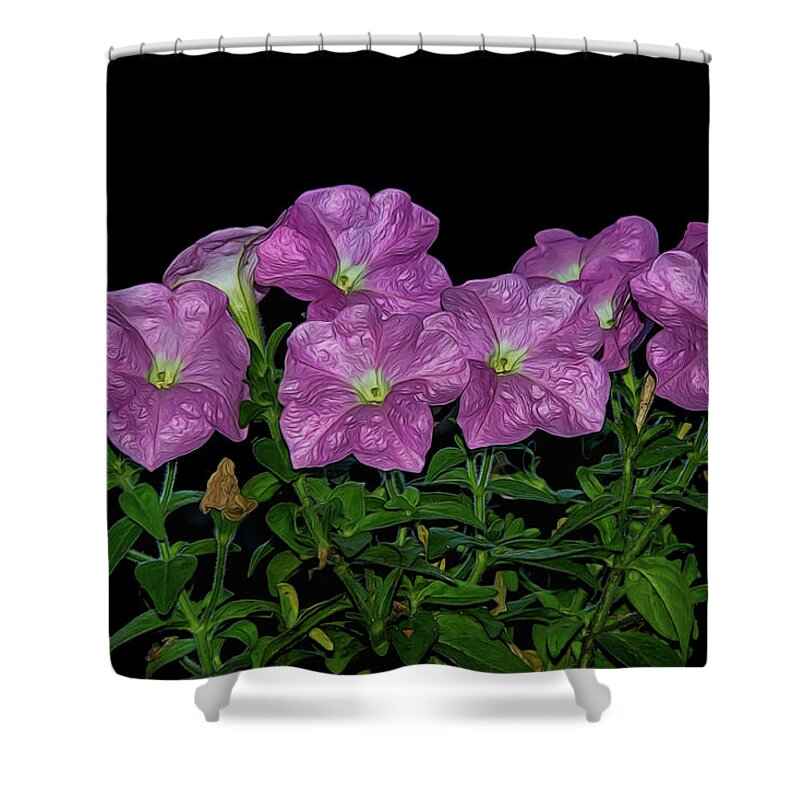 Flower Shower Curtain featuring the photograph Pink Petunia On Black by Cathy Kovarik