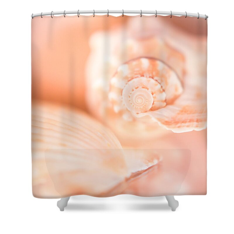 Shells Shower Curtain featuring the photograph Pink Shell Pair by Hermes Fine Art