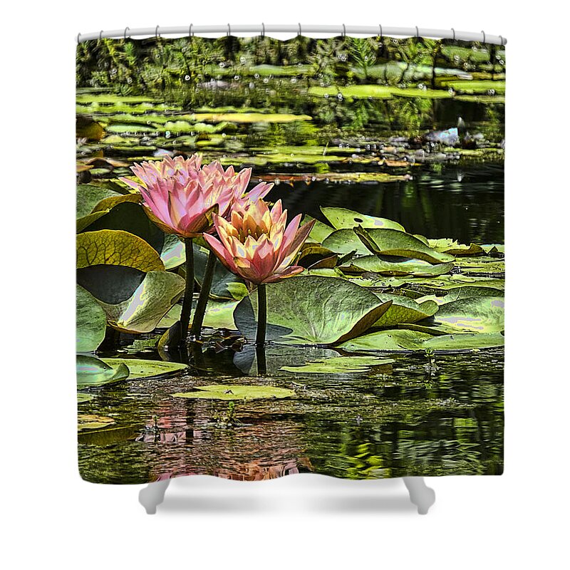 Water Shower Curtain featuring the photograph Pink Water Lily Reflections by Bill Barber