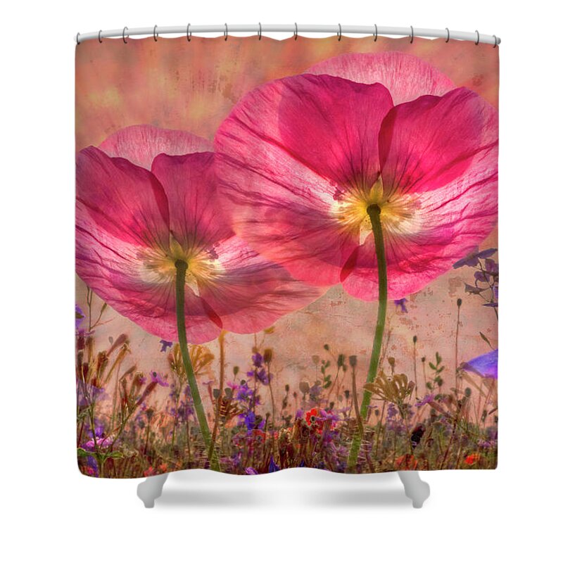 Appalachia Shower Curtain featuring the photograph Pinks in the Morning by Debra and Dave Vanderlaan