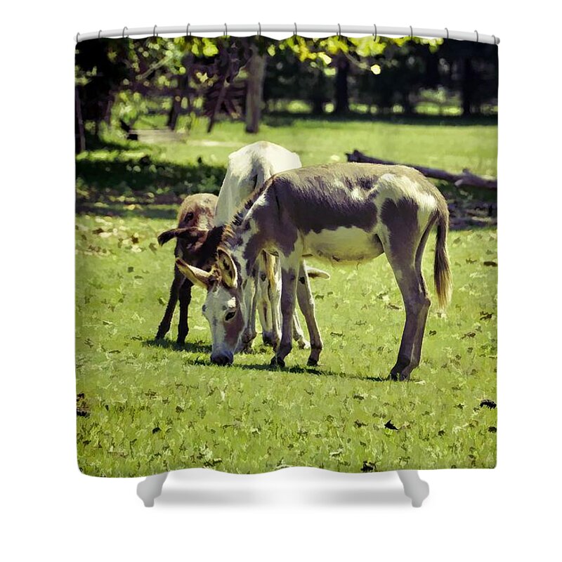Animals Shower Curtain featuring the photograph Pinto Donkey I by Jan Amiss Photography
