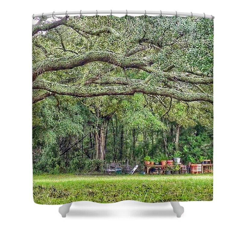 Oak Tree Shower Curtain featuring the photograph Plant It and The House Will Appear by Patricia Greer